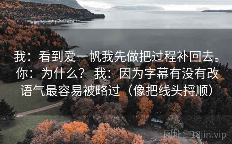 我：看到爱一帆我先做把过程补回去。 你：为什么？ 我：因为字幕有没有改语气最容易被略过（像把线头捋顺）
